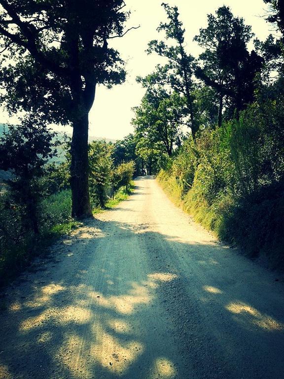 Agriturismo Le Vigne Foligno Ngoại thất bức ảnh